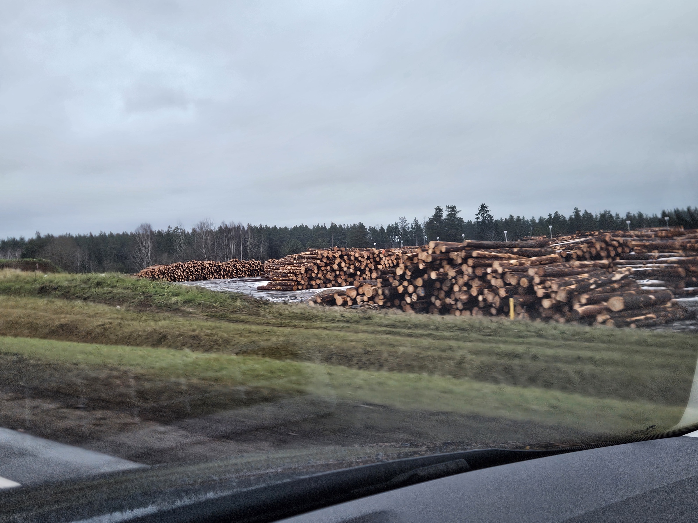 Timber yard visited by Nordic Saunas in Estonia